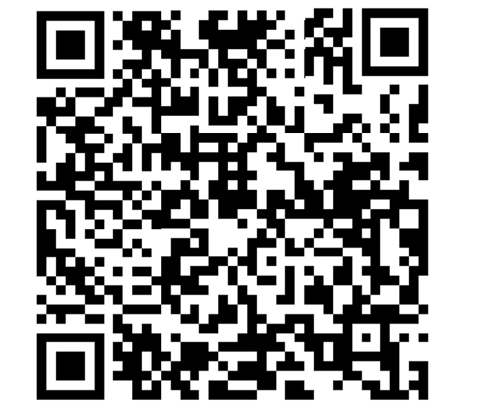 image-20241208125025361