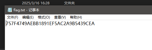 image-20250316173107674